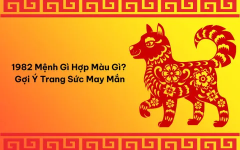 1982 Mệnh Gì Hợp Màu Gì? Gợi Ý Các Mẫu Trang Sức Thu Hút May Mắn