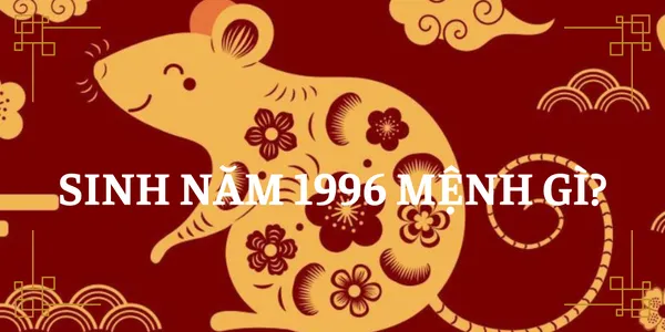 1996-menh-gi-hop-mau-gi-hop-tuoi-nao-hop-huong-nao