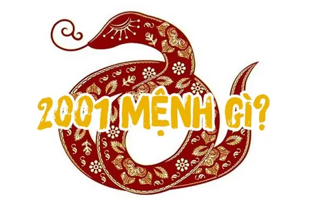 2001-menh-gi