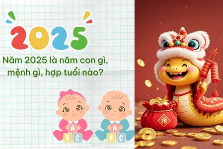 2025 Là Mệnh Gì? Tuổi Gì? Tìm Hiểu Về Tuổi Ất Tỵ 2025