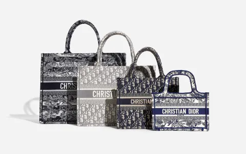 Top 8 Túi Dior Thổ Cẩm Bán Chạy, Được Ưa Chuộng Hiện Nay
