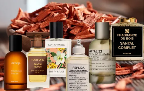 Top 12 Nước Hoa Gỗ Đàn Hương Sang Trọng, Lưu Hương Bền 