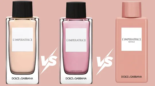 D&G L'Imperatrice Có Mấy Phiên Bản? So Sánh L'Imperatrice 3, Limited Edition Và Royale