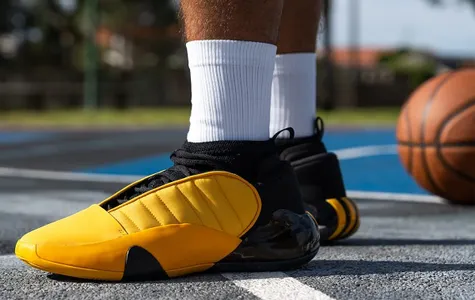 Top 15 Giày Bóng Rổ Adidas Hiệu Năng Cao Đáng Đầu Tư