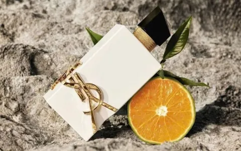 Review Nước Hoa YSL Trắng: Tươi Mát, Sang Chảnh Hay Nữ Quyền?
