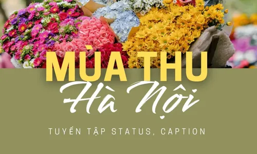 500+ STT/Caption Mùa Thu Hay, Lãng Mạn Và Chill 