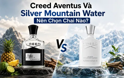 Creed Aventus Và Silver Mountain Water Nên Chọn Chai Nào?