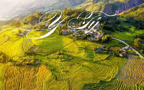 Đi Y Tý Mặc Gì? Bí Kíp Chuẩn Bị Trang Phục Săn Mây, Săn Lúa Chín