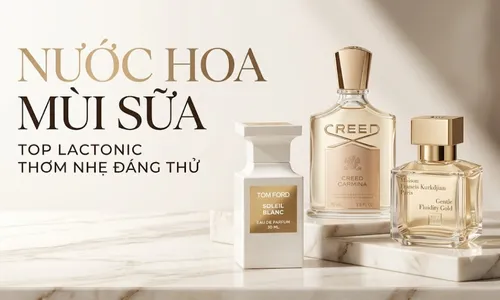 Nước Hoa Mùi Sữa Là Gì? Top Nước Hoa Lactonic Đáng Thử 2026