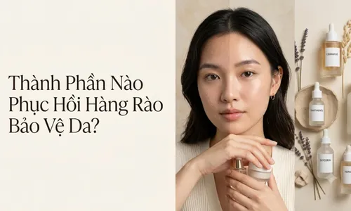 Thành Phần Nào Phục Hồi Hàng Rào Bảo Vệ Da Hiệu Quả?