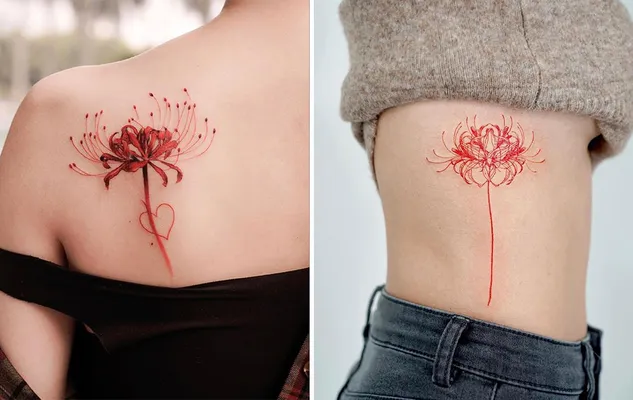 Nguồn gốc của hoa bỉ ngạn 