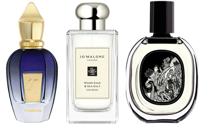 Cây xô thơm trong ngành nước hoa