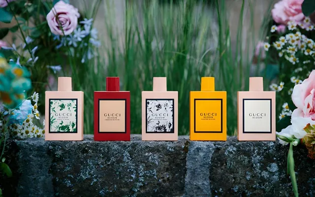 Review 6 Chai Nước Hoa Gucci Bloom Bán Chạy, Nổi Tiếng Hiện Nay - 1