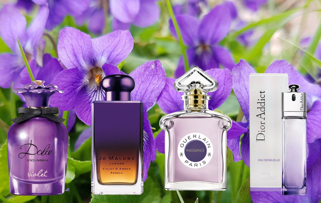Top 12 Nước Hoa Mùi Hoa Violet Lôi Cuốn Mọi Ánh Nhìn
