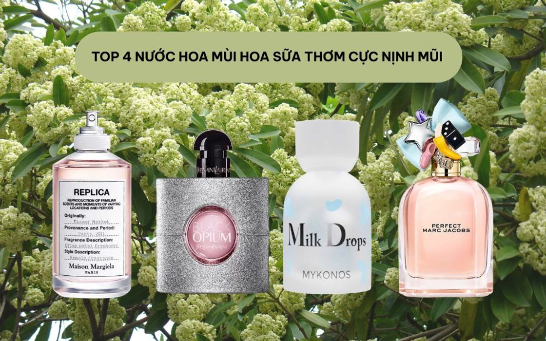 Top 4 Nước Hoa Mùi Hoa Sữa Thơm Dịu Dàng, Nịnh Mũi