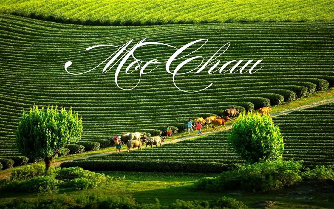 Đi Mộc Châu Mặc Gì Chụp Ảnh Đẹp? Gợi Ý 15+ Outfit Nam Nữ Cực Chill