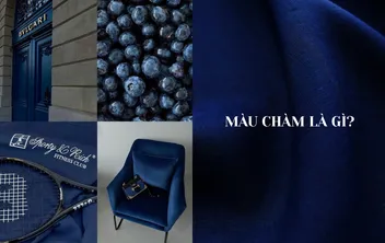 Màu Chàm Là Gì? Cách Phối Đồ Và Ứng Dụng Trong Thời Trang