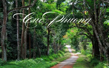 Mặc Gì Đi Rừng Cúc Phương Chụp Ảnh Đẹp? Gợi Ý 15+ Outfits Phù Hợp