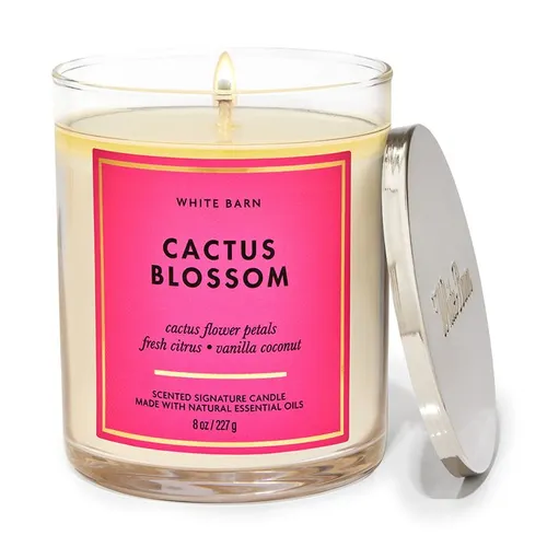 Nến Thơm Bath & Body Works Cactus Blossom Signature Single Wick Candle 227g