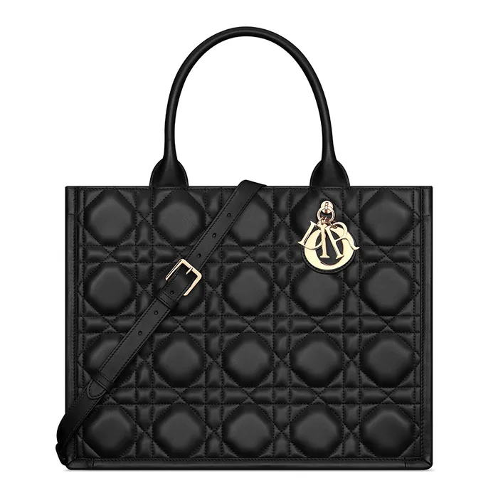 Túi Tote Nữ Dior Medium Book Tote M1324OWHP M900 Màu Đen