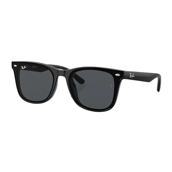 Kính Mát Rayban Sunglasses RB4391D 601/87 65-18 Màu Xám/Đen
